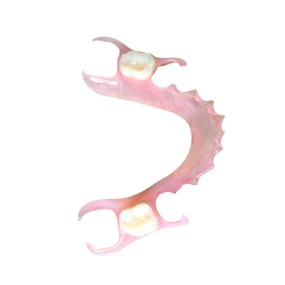 Flexible Denture 2 Teeth